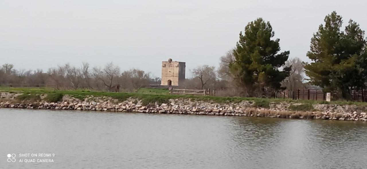 Neuf Et Moderne Au Coeur De La Camargue *