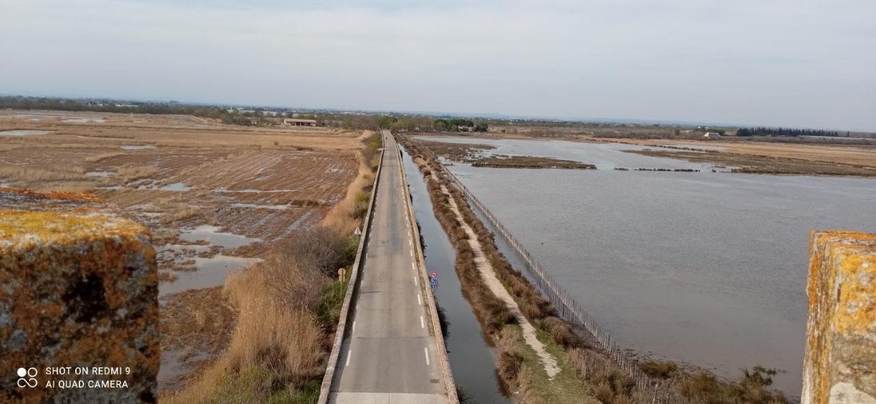 Neuf Et Moderne Au Coeur De La Camargue * Saint-Laurent-dʼAigouze